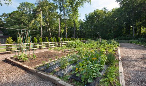 Enjoy your favorite flowers or vegetables at the community garden
