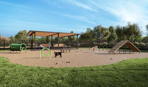 Spacious dog park for your furry friends